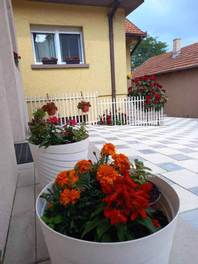 Leda Apartmani Смедерево Екстериор снимка
