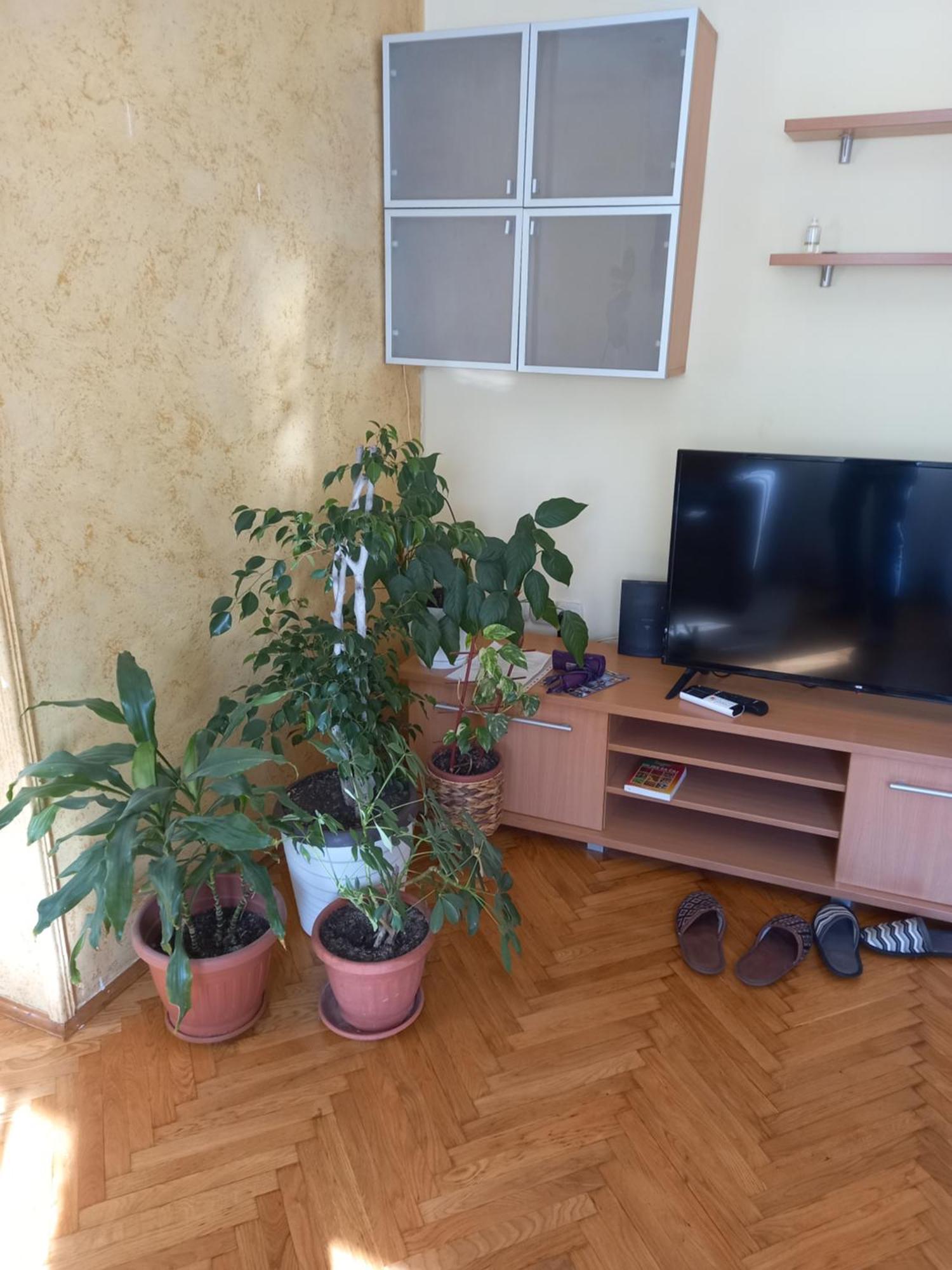 Leda Apartmani Смедерево Екстериор снимка