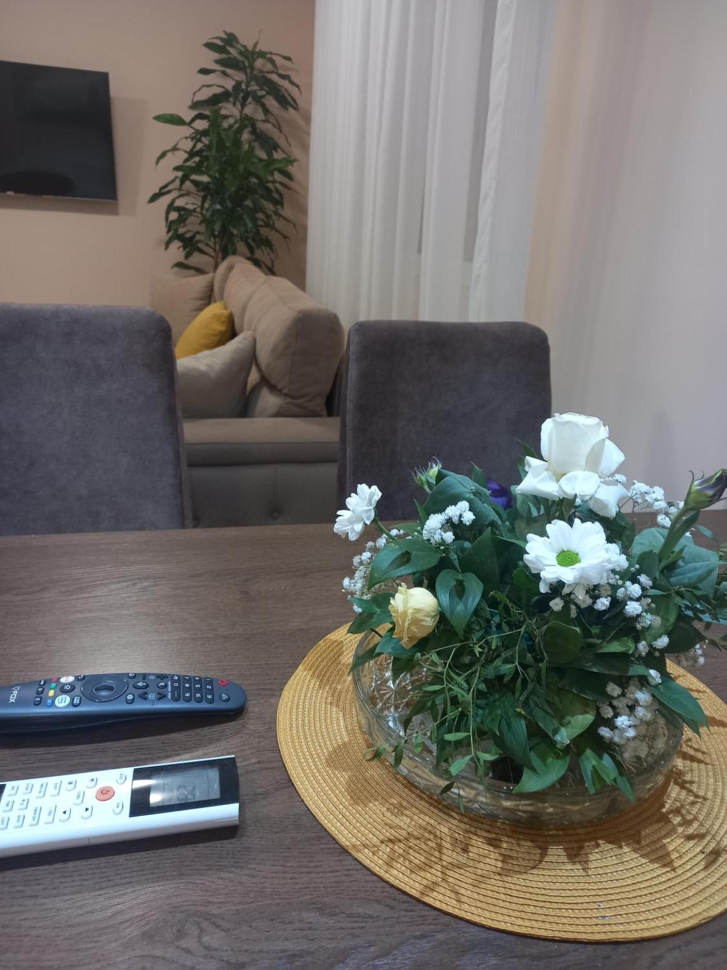 Leda Apartmani Смедерево Стая снимка